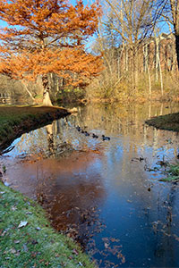 Aquinas College Fall