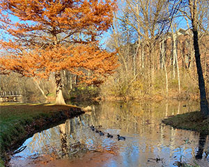 Aquinas College, Michigan, personal image
