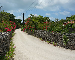 Dirt road in Japan, free image